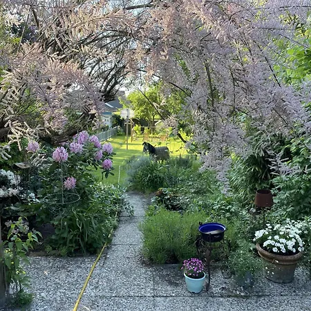 Jenny בית נופש פלאנסבורג